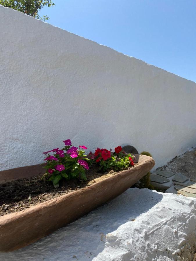Blue Pearl Apartment Glinado Naxos Dış mekan fotoğraf