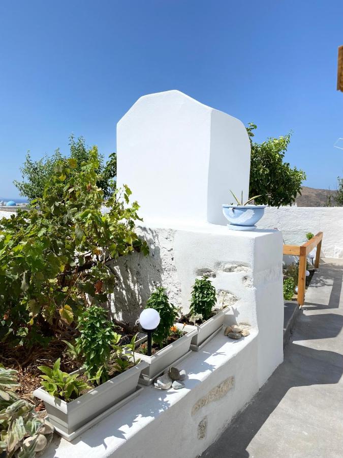 Blue Pearl Apartment Glinado Naxos Dış mekan fotoğraf